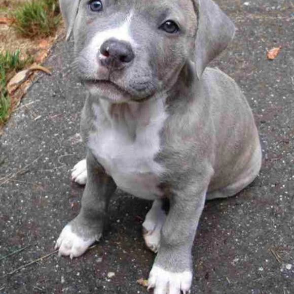 Meet your Posher, Matthew - Picture 1 of 1